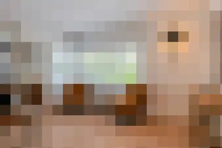 Kaetsjemuoi-wei 1 Mûnein thumbnail 16