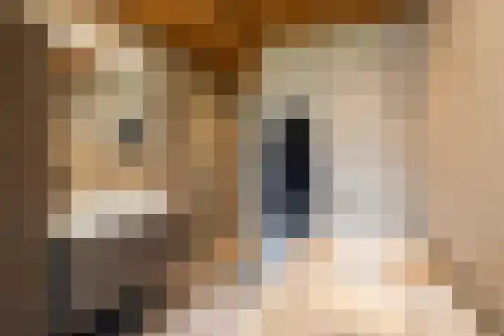 Kaetsjemuoi-wei 1 Mûnein thumbnail 20