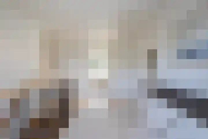 Kaetsjemuoi-wei 1 Mûnein thumbnail 26