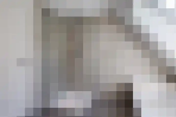 Kaetsjemuoi-wei 1 Mûnein thumbnail 35