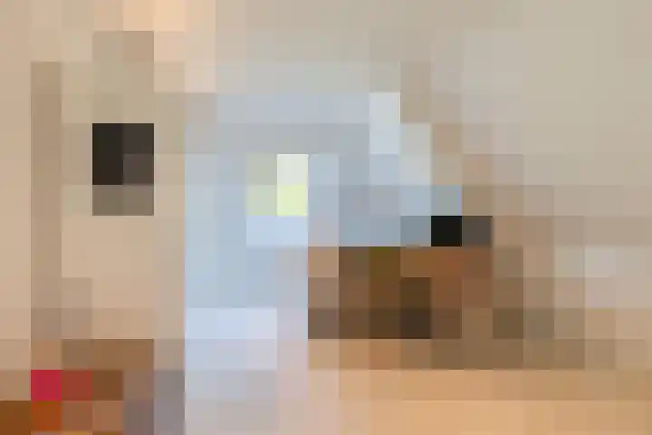 Kaetsjemuoi-wei 1 Mûnein thumbnail 38