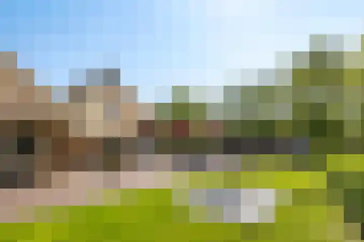 Kaetsjemuoi-wei 1 Mûnein thumbnail 42