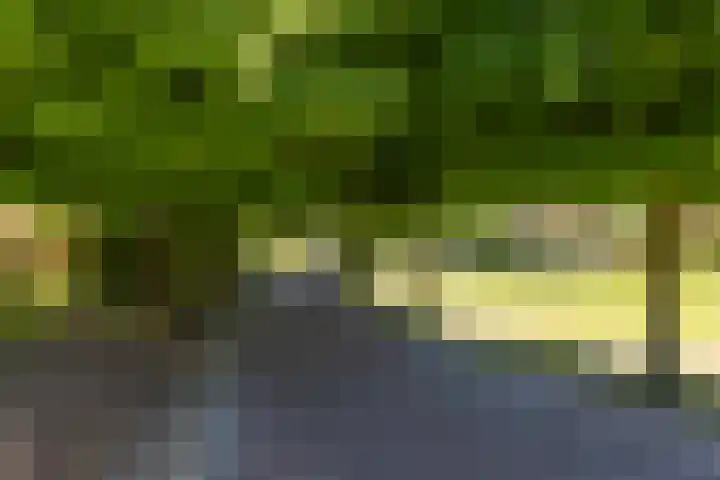 Kaetsjemuoi-wei 1 Mûnein thumbnail 5