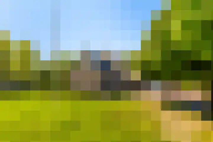 Kaetsjemuoi-wei 1 Mûnein thumbnail 52