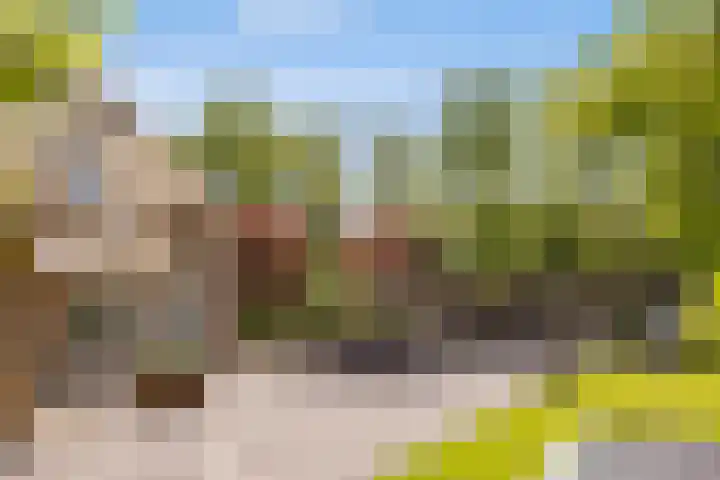 Kaetsjemuoi-wei 1 Mûnein thumbnail 53