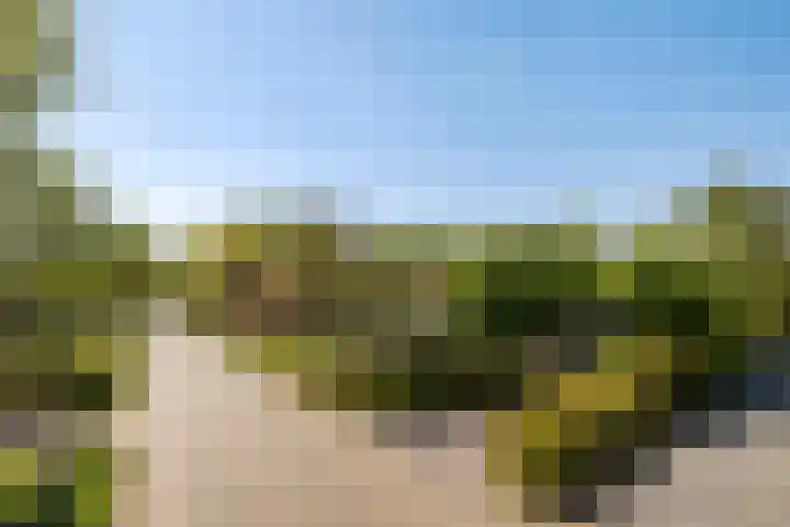 Kaetsjemuoi-wei 1 Mûnein thumbnail 56