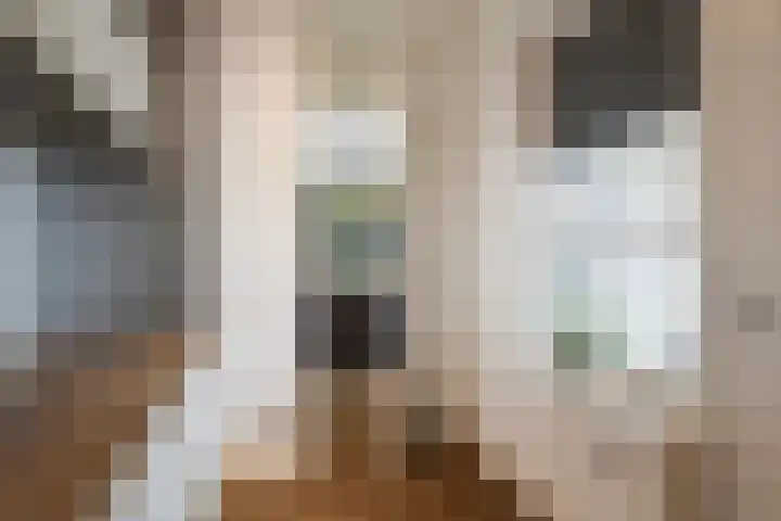 Kaetsjemuoi-wei 7 A Mûnein thumbnail 26