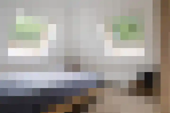 Kaetsjemuoi-wei 7 A Mûnein thumbnail 36