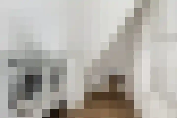 Kaetsjemuoi-wei 7 A Mûnein thumbnail 42