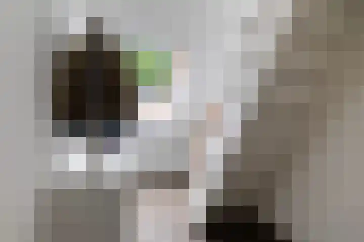 Kaetsjemuoi-wei 7 A Mûnein thumbnail 43