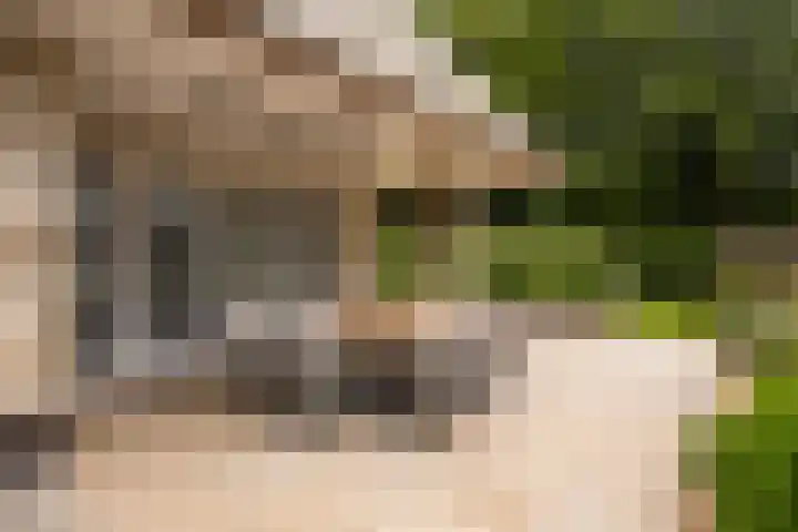Kaetsjemuoi-wei 7 A Mûnein thumbnail 49