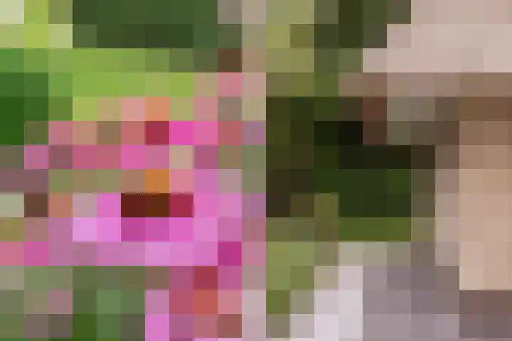 Kaetsjemuoi-wei 7 A Mûnein thumbnail 50