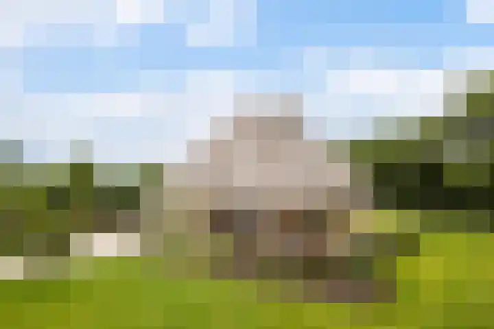 Kaetsjemuoi-wei 7 A Mûnein thumbnail 53
