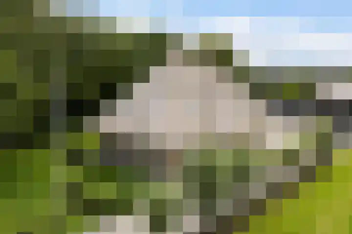Kaetsjemuoi-wei 7 A Mûnein thumbnail 62