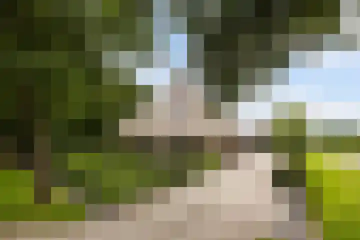 Kaetsjemuoi-wei 7 A Mûnein thumbnail 67