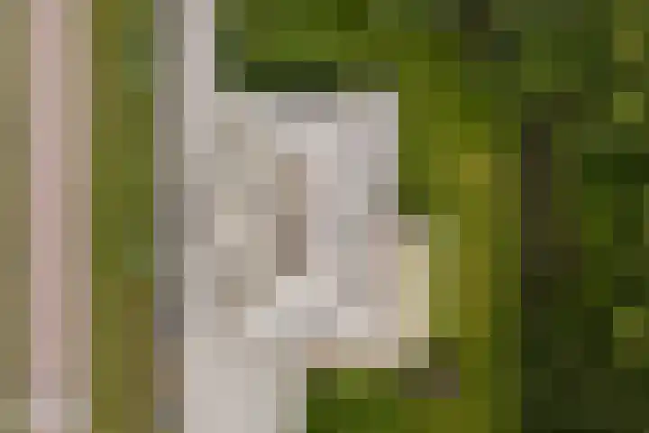 Kaetsjemuoi-wei 7 A Mûnein thumbnail 69