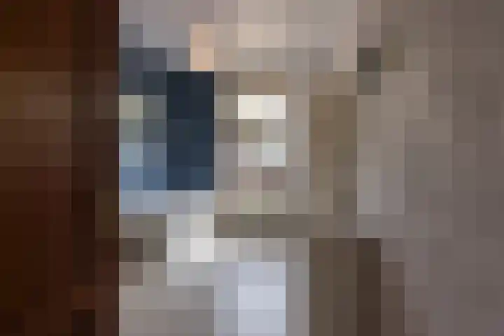 Kaffebergsweg 50 Kerkrade thumbnail 17