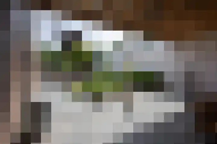 Kaffebergsweg 50 Kerkrade thumbnail 23