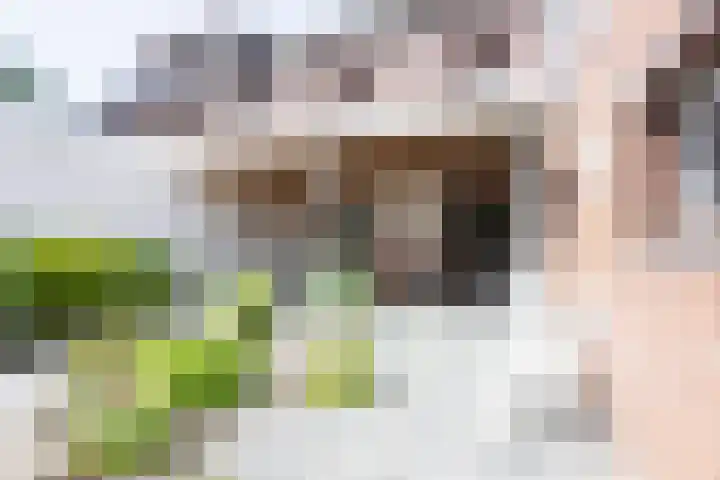 Kaffebergsweg 50 Kerkrade thumbnail 25