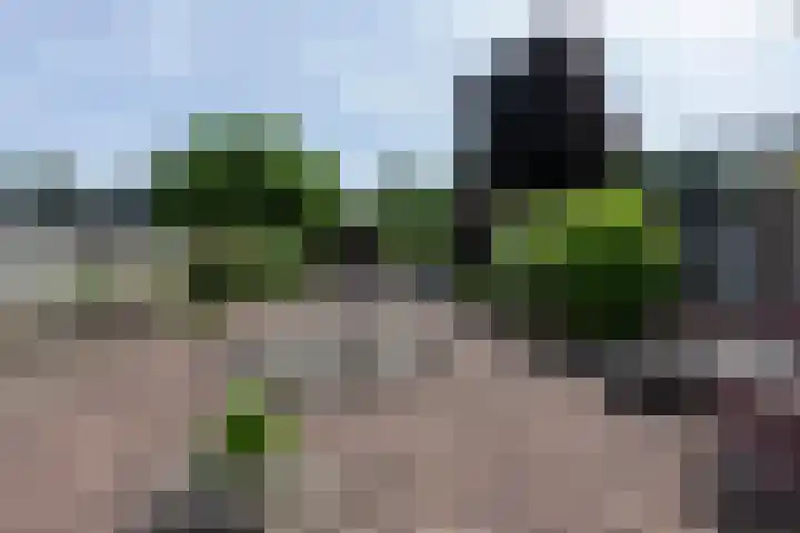 Kaffebergsweg 50 Kerkrade thumbnail 27