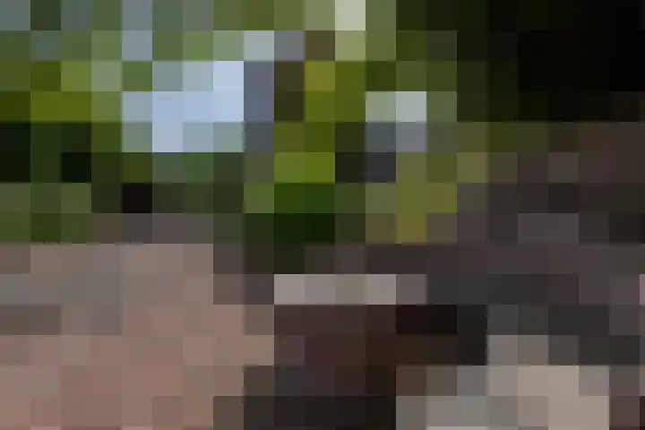Kaffebergsweg 50 Kerkrade thumbnail 28