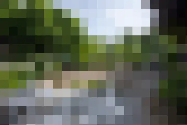 Kaffebergsweg 50 Kerkrade thumbnail 31