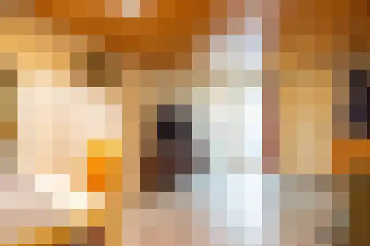 Kaffebergsweg 76 Kerkrade thumbnail 21