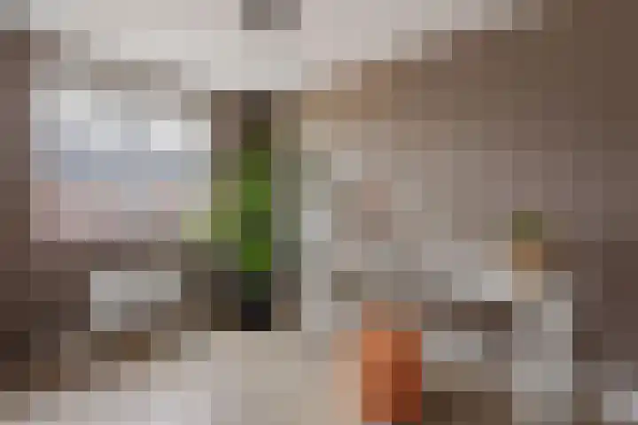 Kafmolen 19 Denekamp thumbnail 17
