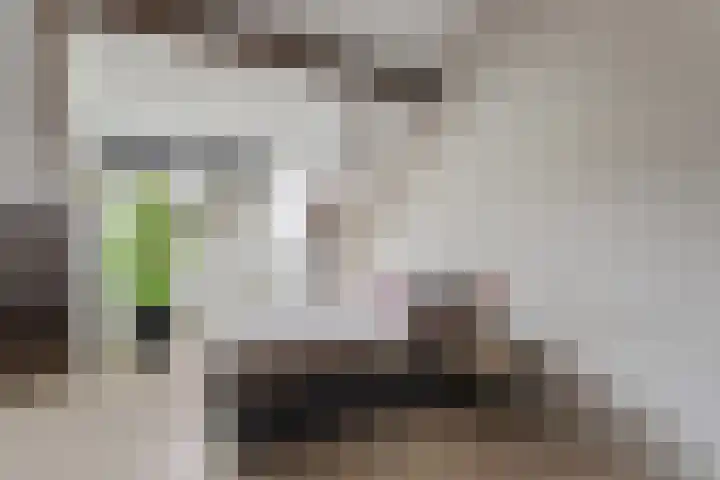 Kafmolen 19 Denekamp thumbnail 18