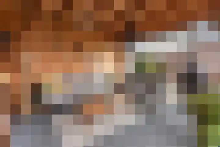 Kafmolen 19 Denekamp thumbnail 20