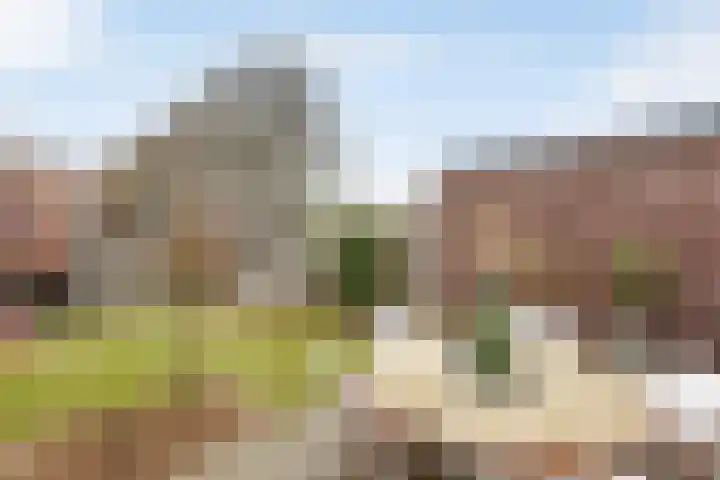Kafmolen 19 Denekamp thumbnail 22
