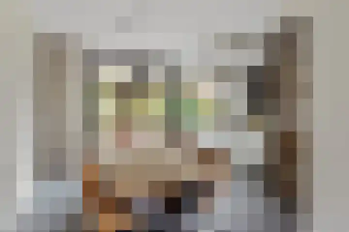 Kafmolen 21 Denekamp thumbnail 10