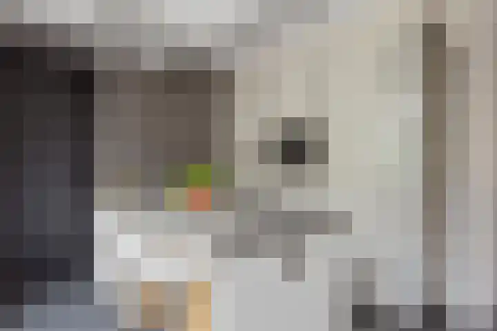 Kafmolen 21 Denekamp thumbnail 11