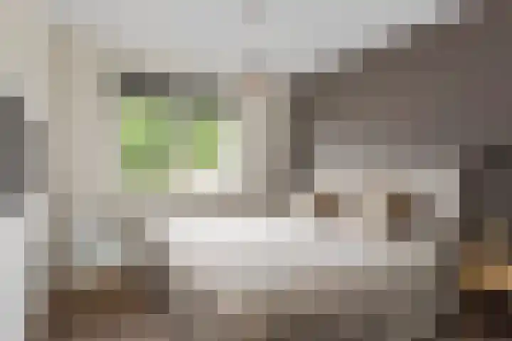 Kafmolen 21 Denekamp thumbnail 13