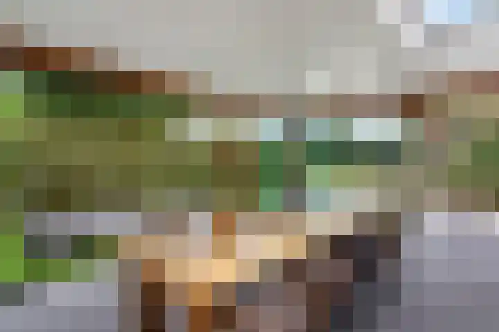 Kafmolen 21 Denekamp thumbnail 20