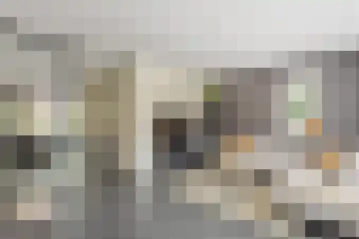 Kafmolen 21 Denekamp thumbnail 8