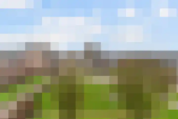 Kafmolenweide 40 Nieuwegein thumbnail 22