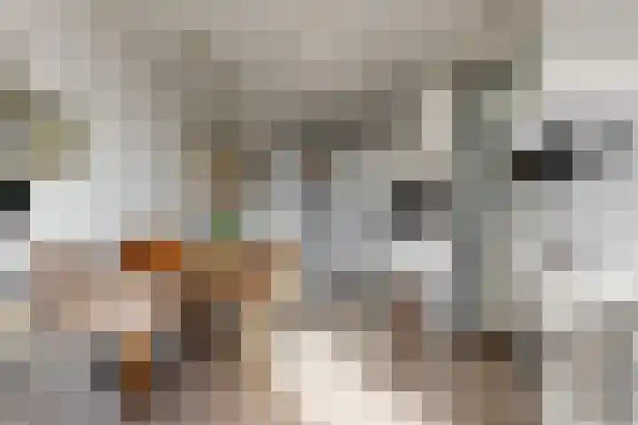 Kafmolenweide 40 Nieuwegein thumbnail 8