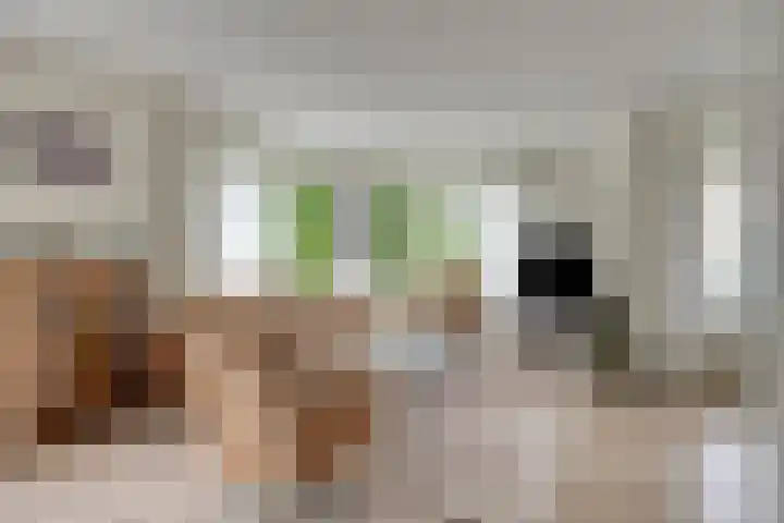 Kafmolenweide 53 Nieuwegein thumbnail 12