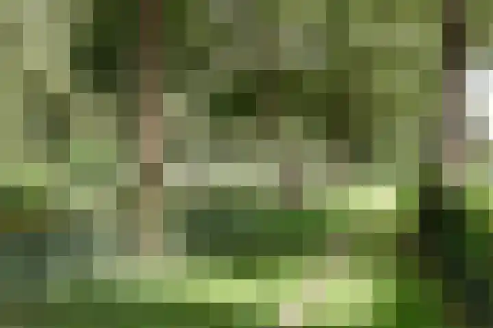 Kafmolenweide 53 Nieuwegein thumbnail 34