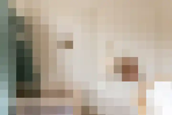 Kaftanstraat 3 Purmerend thumbnail 29