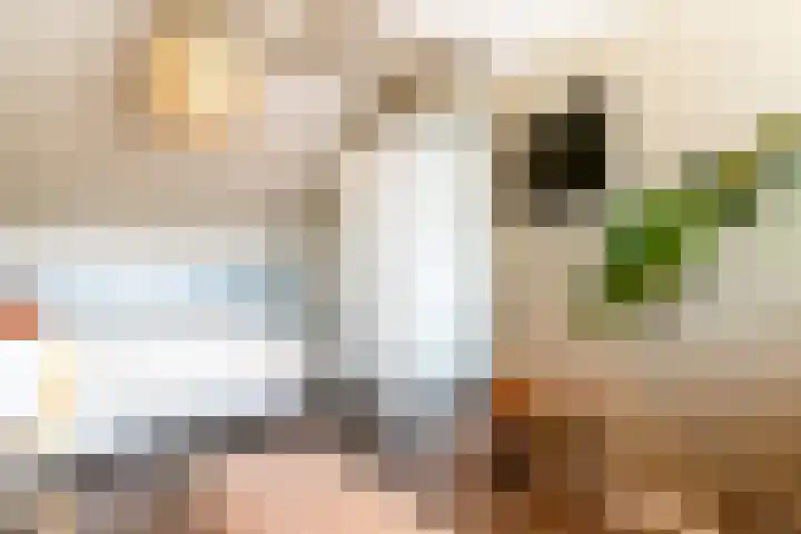 Kaftanstraat 3 Purmerend thumbnail 36