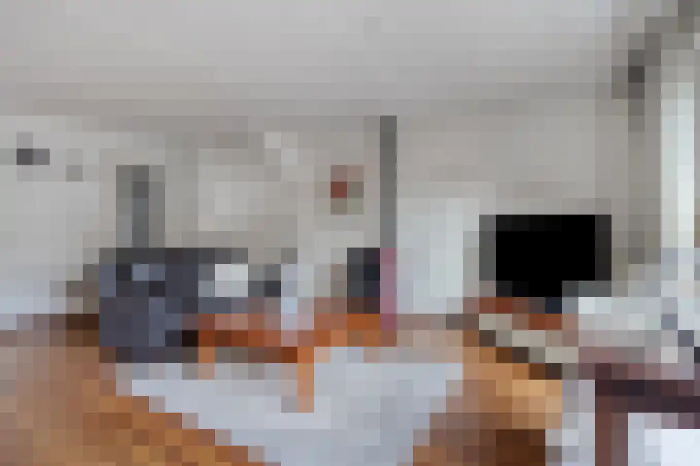 Kaftanstraat 6 Purmerend thumbnail 4