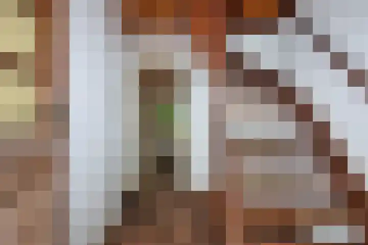Kagelinkbosweg 12 Diepenheim thumbnail 10