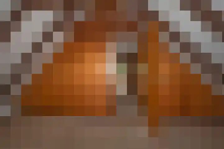 Kagelinkbosweg 12 Diepenheim thumbnail 12