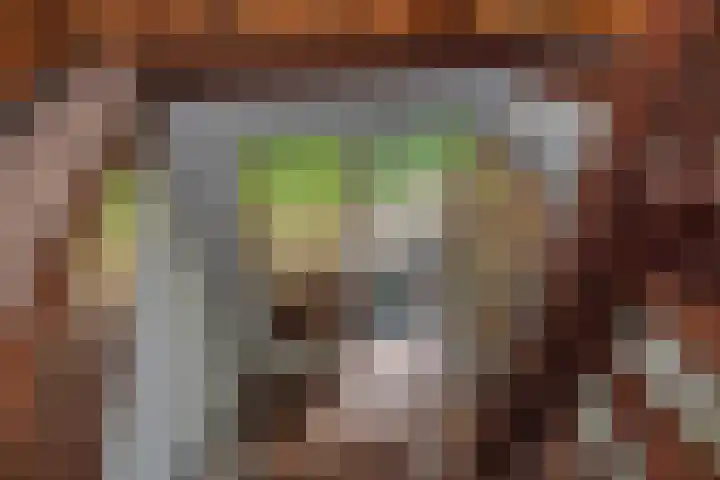 Kagelinkbosweg 12 Diepenheim thumbnail 14