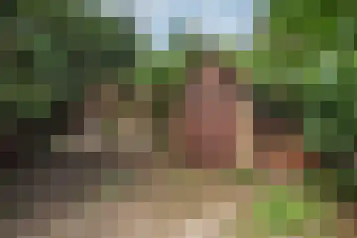 Kagelinkbosweg 12 Diepenheim thumbnail 17