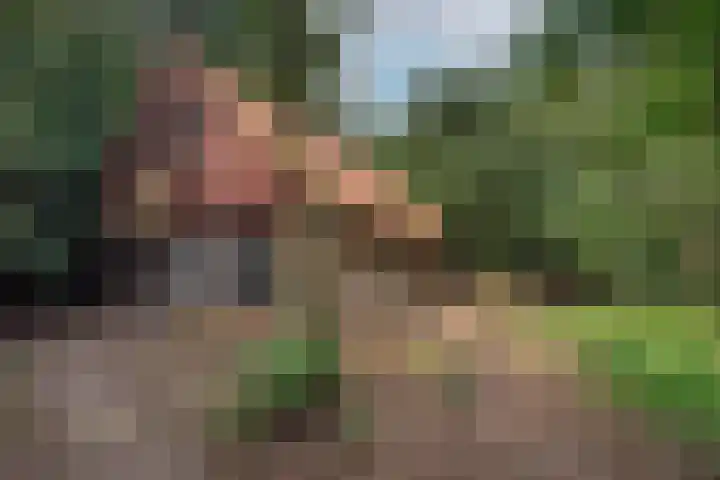 Kagelinkbosweg 12 Diepenheim thumbnail 18