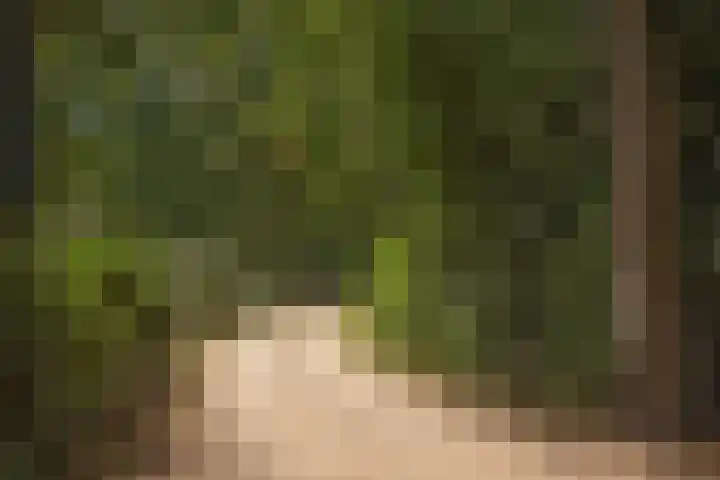 Kagelinkbosweg 12 Diepenheim thumbnail 22