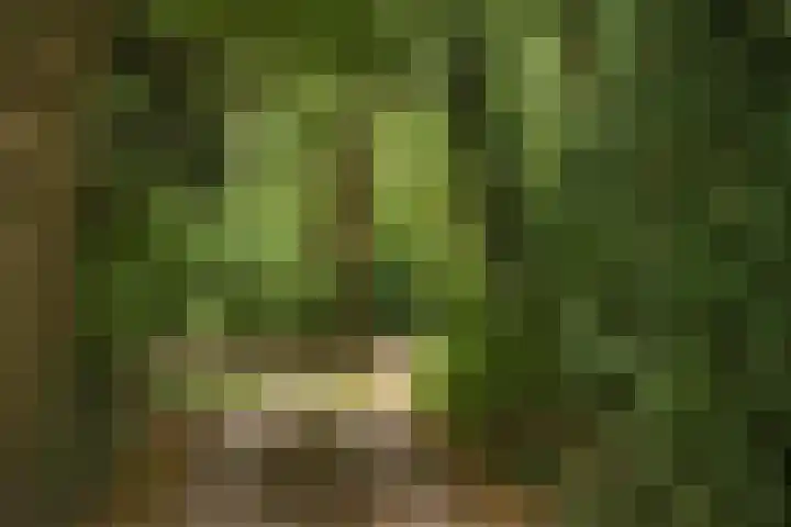 Kagelinkbosweg 12 Diepenheim thumbnail 23